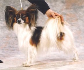 charmingc1